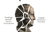 Lawless Republic: The Rise of Cicero and the Decline of Rome by Josiah Osgood