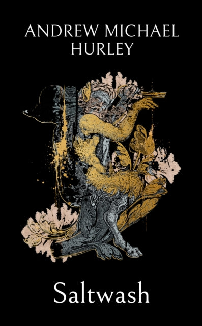 Saltwash: The chilling new novel from the 'master of menace' by Andrew Michael Hurley