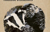 Interrupted Journeys: Badgers and Other Roadside Distractions by Adrian Potter