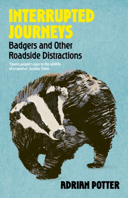 Interrupted Journeys: Badgers and Other Roadside Distractions by Adrian Potter