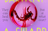 A Sharp Scratch by Heather Darwent