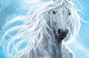 Moonlight Riders: Storm Stallion : Book 2 by Linda Chapman