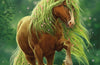 Moonlight Riders: Petal Pony : Book 3 by Linda Chapman
