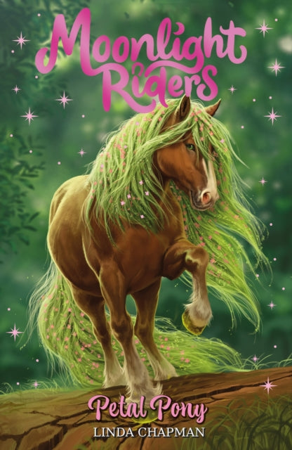 Moonlight Riders: Petal Pony : Book 3 by Linda Chapman