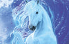 Moonlight Riders: Sea Foal : Book 4 by Linda Chapman
