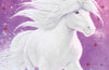 Moonlight Riders: Snow Mare : Book 5 by Linda Chapman