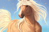 Moonlight Riders: Sand Filly : Book 6 by Linda Chapman