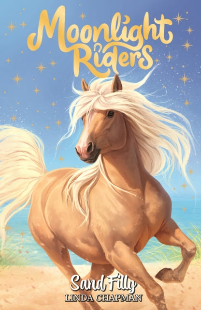 Moonlight Riders: Sand Filly : Book 6 by Linda Chapman