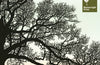 Trees in Winter by Richard Shimell