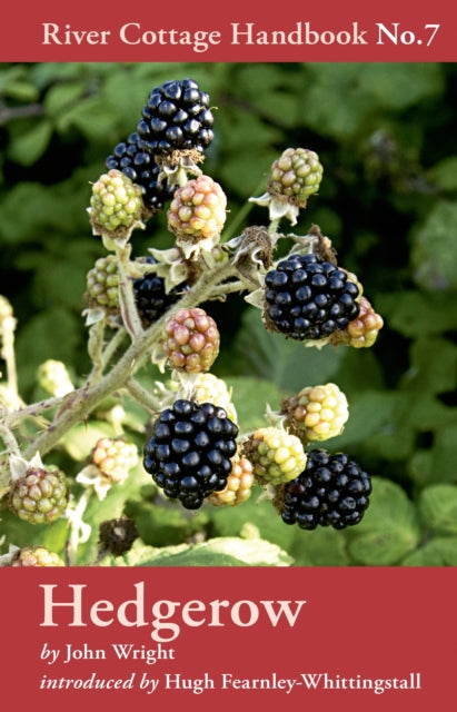Hedgerow: No. 7 by John Wright