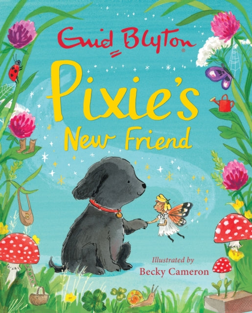 Pixie's New Friend by Enid Blyton (PRE-ORDER)