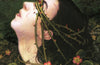 Hazelthorn: Gorgeously gothic horror and queer dark romance from the NYT bestselling author of Don't Let the Forest In by CG Drews (PRE-ORDER)