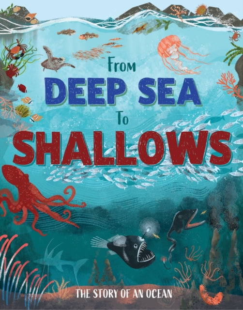 From Deep Sea to Shallows: The Story of Oceans by Ben Hubbard