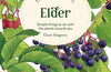 The Little Wild Library: Elder: Simple Things to Do with the Plants Around You by Clare Gogerty