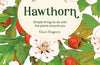The Little Wild Library: Hawthorn: Simple Things to Do with the Plants Around You by Clare Gogerty