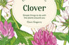 The Little Wild Library: Clover: Simple Things to Do with the Plants Around You by Clare Gogerty