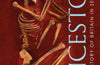 Ancestors: A prehistory of Britain in seven burials by Alice Roberts