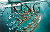 The Wicked King (The Folk of the Air #2) by Holly Black