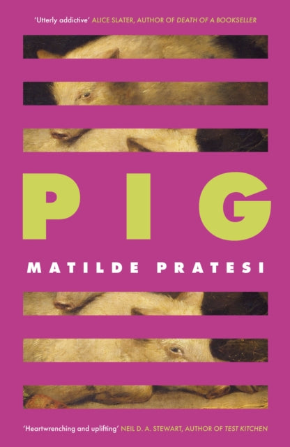 Pig by Matilde Pratesi