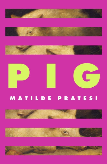 Pig by Matilde Pratesi