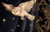 Owls and Other Fantasies by Mary Oliver