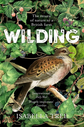 Collection image for: Nature Writing