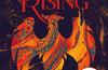 The Shadow and Bone: Ruin and Rising: Book 3 by Leigh Bardugo