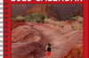 The Complete Runner's Day-by-Day Log 12-Month 2025 Planner Calendar by Matt Fitzgerald