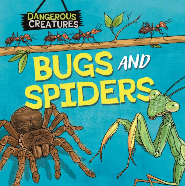 Dangerous Creatures: Bugs and Spiders by Lynn Huggins-Cooper
