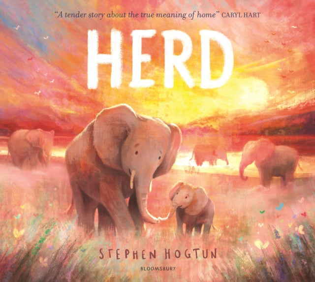 HERD by Stephen Hogtun (PRE-ORDER)