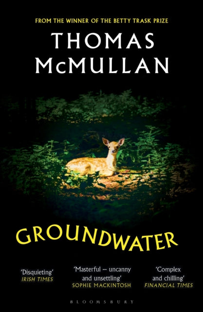 Groundwater by Thomas McMullan