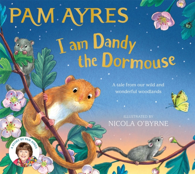 I am Dandy the Dormouse: A tale from our wild and wonderful woodlands by Pam Ayres