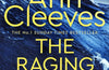 The Raging Storm by Ann Cleeves