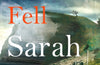 The Fell by Sarah Moss
