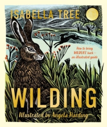 Wilding: How to Bring Wildlife Back - an Illustrated Guide by Isabella Tree