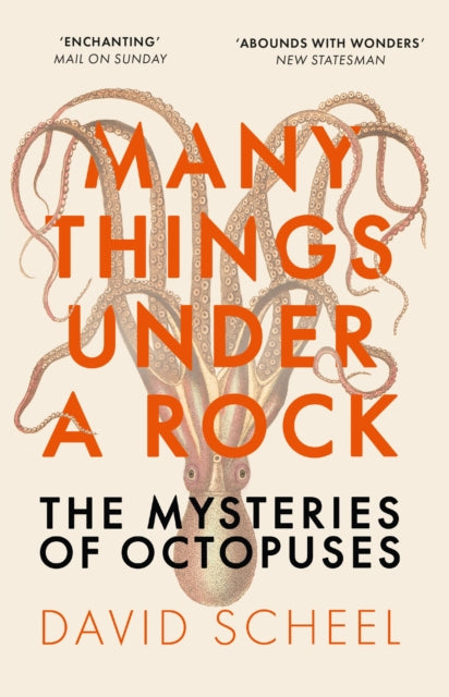 Many Things Under a Rock : The Mysteries of Octopuses by David Scheel