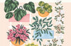 How to Grow a Garden: A beginner's guide to creating a thriving outdoor space by Ellen Mary