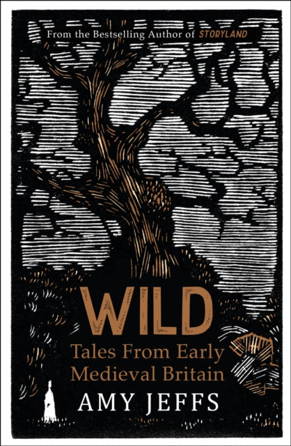 Wild: Tales from Early Medieval Britain by Amy Jeffs