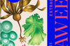 Extraordinary Seaweeds: The hidden lives of the ocean's architects by Juliet Brodie