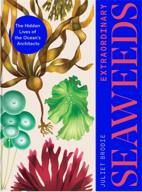 Extraordinary Seaweeds: The hidden lives of the ocean's architects by Juliet Brodie