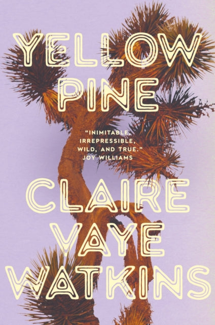 Yellow Pine by Claire Vaye Watkins