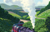 ALL ABOARD!: Tales from a Yorkshire Steam Railway by Paul 'Piglet' Middleton (SIGNED PRE-ORDER)