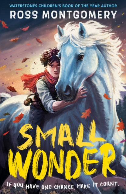 Small Wonder by Ross Montgomery (PRE-ORDER)