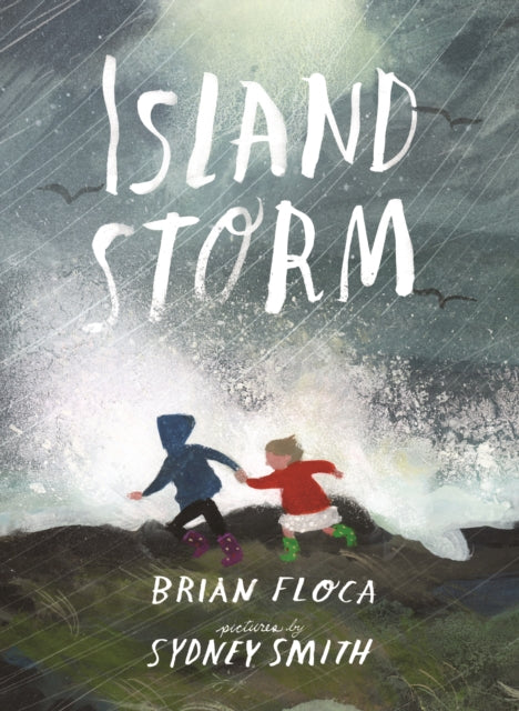 Island Storm by Brian Floca