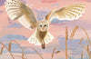 RSPB A6 Diary 2025