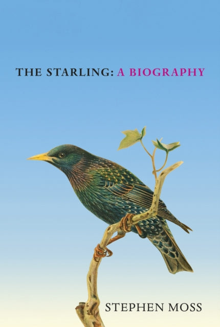 The Starling: A Biography by Stephen Moss