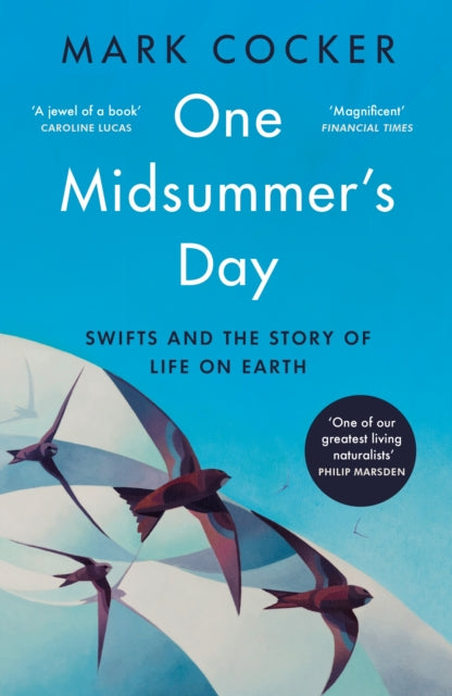 One Midsummer's Day: Swifts and the Story of Life on Earth by Mark Cocker