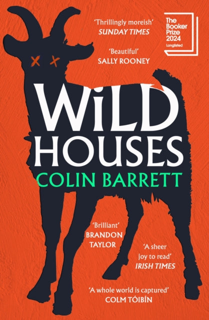 Wild Houses: One of the Observer's Debut Novels of 2024 by Colin Barrett