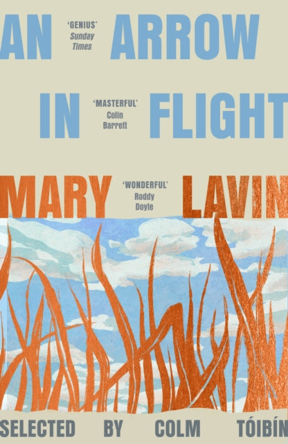 An Arrow in Flight by Mary Lavin