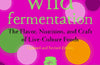 Wild Fermentation: The Flavor, Nutrition, and Craft of Live-Culture Foods, 2nd Ed. by Sandor Ellix Katz